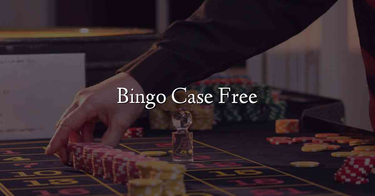 Bingo Case Free